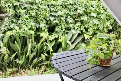 a wooden bench sitting in front of a green wall at SMA Apartment in Los Angeles