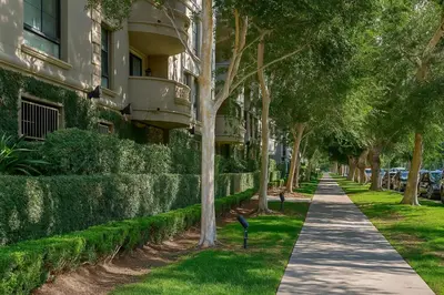 a tree lined sidewalk in front of a building at Holiday in LA- Koreatown Retreat with Free Parking, Pool and Sauna in Los Angeles