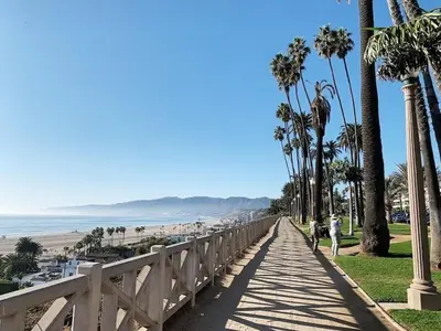 a boardwalk leading to the beach with palm trees at Beautiful NEW apartment in SM! in Los Angeles