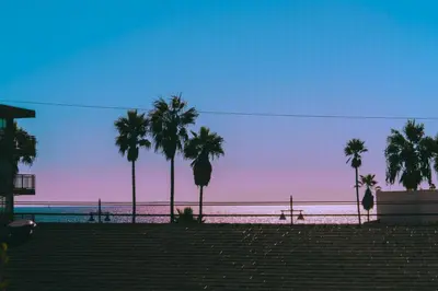 a view of a beach with palm trees and the ocean at Venice Beach Townhouse in Los Angeles