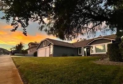 a house with a tree in the yard at Luxury 4 Bedroom Home Pool Big Yard San Bernardino in San Bernardino