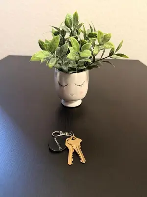 a pair of keys and a vase with a plant at Steps from The Hollywood Walk of Fame in Los Angeles