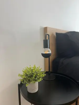 a black table with a lamp and a plant on it at East Hollywood Modern Spacious Bungalow in Los Angeles