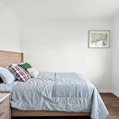 Cozy Full Suites Bright & Private Great Value