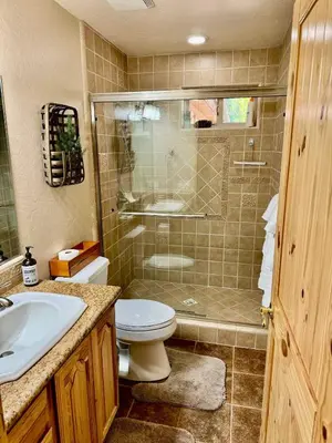 a bathroom with a shower and a toilet and a sink at Winter Park Cabin Hot Tub And Game Room in Big Bear Lake