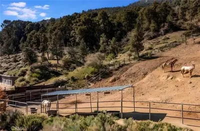 two horses standing on a dirt hill with a mountain at Mountain Getaway - Stunning Views in Pine Mountain Club