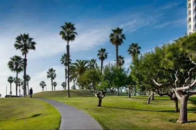 a person walking down a path in a park with palm trees at Santa Monica's Prestige Place *Steps To The Beach* in Los Angeles