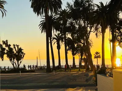 a group of palm trees on the beach at sunset at Ocean Lover's Dream Studio In Santa Monica in Los Angeles
