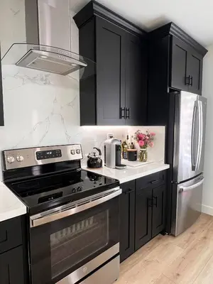 a kitchen with black cabinets and stainless steel appliances at Newly Built Private Guest House in Glendale