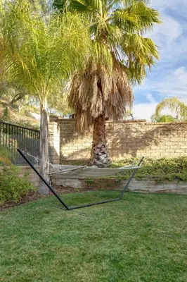 a hammock in the grass next to a palm tree at Mountain View Home with Pool & Fenced-In Yard in Santa Clarita