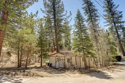 a small shack in the woods with trees at Cozy Forest Cottage w Lake Glimpse and Grill in Fawnskin
