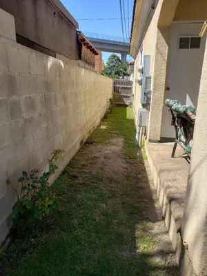 a brick wall next to a yard next to a building at Spacious home near LAX in Hawthorne