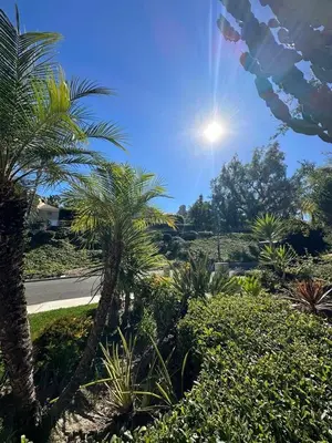 a view of a garden with palm trees and bushes at Cozy stay by Anatolian in Los Angeles