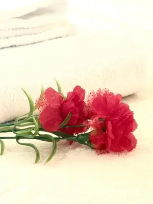 two red flowers sitting on a white blanket at Spacious 3BR 3BA Home 3 Car Garage Garden Near DTLA Pasadena Hollywood in Alhambra