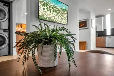 a potted plant sitting on top of a table at Ridpath Retreat Guest House in Los Angeles