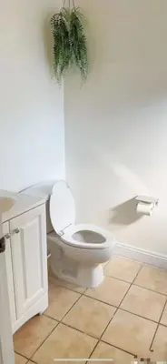 a bathroom with a toilet and a potted plant at Huge bedroom with shared bathroom in Ontario