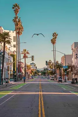 an empty city street with palm trees and a traffic light at Beach lovely home in Santa Monica in Los Angeles