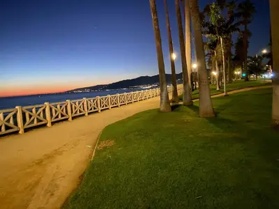 a row of palm trees next to the beach at night at Beach lovely home in Santa Monica in Los Angeles