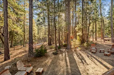 a group of benches in a forest with trees at Honeycomb Hideaway in Big Bear Lake