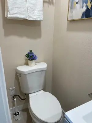 a bathroom with a toilet with a plant on top of it at \u6c11\u5bbf\u963f\u5c14\u7f55\u5e03\u62c9666 in Alhambra