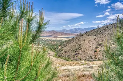 a view of the desert from a hill with trees at Camp David in Wofford Heights