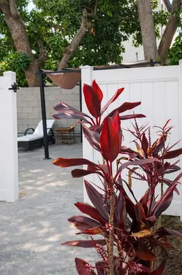 a plant with red flowers next to a white fence at Vernon Homes For The Soul in Los Angeles