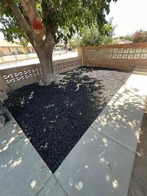 a tree sitting next to a sidewalk next to a tree at Desert Oasis Retreat in Barstow in Barstow