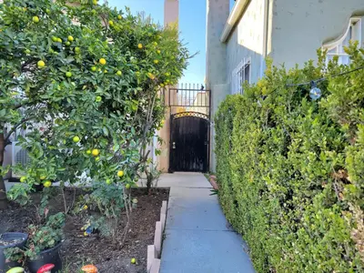 a door to a building with an orange tree at 2BR Guest Suite With Parking and Garden in Pico Robertson Near Beverly Hills and Cedar Sinai in Los Angeles