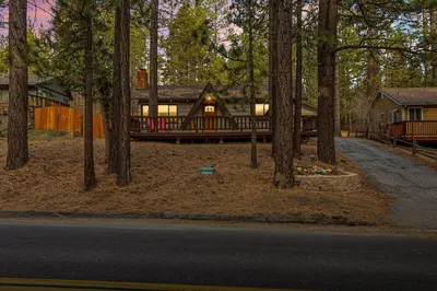 a log cabin in the middle of a forest at Pinecone Den in Big Bear Lake