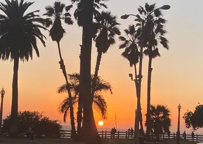 a group of palm trees in front of a sunset at Sweet 2 bedrooms home by the beach city in Los Angeles
