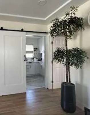a living room with a plant in a black pot at Charming 2B2B Retreat in Temple City in Temple City