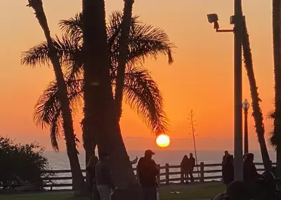 a palm tree with a sunset in the background at Cozy beautiful 2 bedroom home at the beach in Los Angeles
