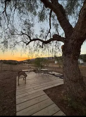 a wooden deck with a bench and a tree at Zaromelranch