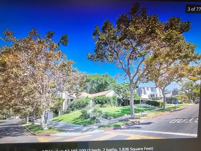 a street with trees on the side of a road at The Rochester house in Los Angeles