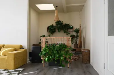 a living room with a couch and potted plants at Paradise Knowhere in Los Angeles
