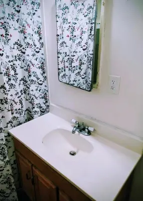 a bathroom sink with a mirror and a flower shower curtain at The Joshua House in Boron