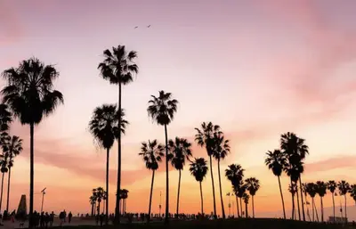 a group of palm trees in front of a sunset at Santa Monica Place with Free Parking in Los Angeles