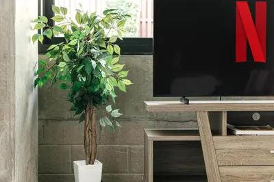 a plant in a white pot next to a tv at Fabulous and Spacious 2 level LOFT with Pool GyM Parking in Los Angeles