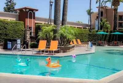 a pool with three rubber ducks in the water at Grand Legacy At The Park in Anaheim