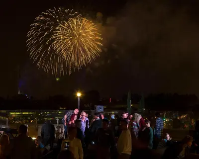 a crowd of people watching fireworks at night at Grand Legacy At The Park in Anaheim