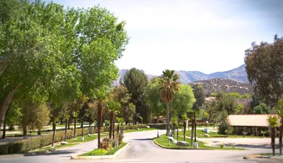a street in a park with palm trees and mountains at Soledad Canyon Cottage 2 in Ravenna