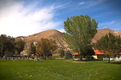 a field with a tree and mountains in the background at Soledad Canyon Deluxe Cabin 23 in Ravenna