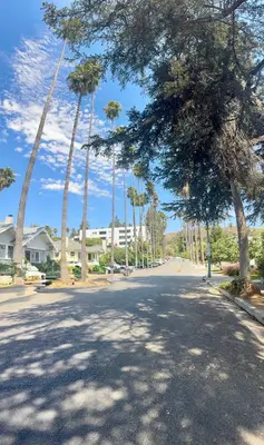 an empty street with palm trees and buildings at Dresden B & B in Los Angeles