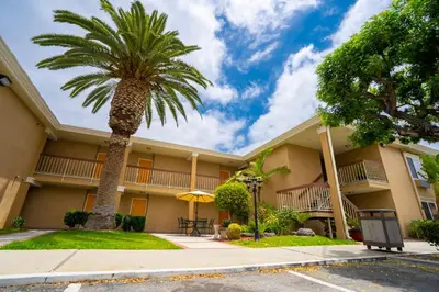a palm tree in front of a building at Howard Johnson by Wyndham Buena Park in Buena Park
