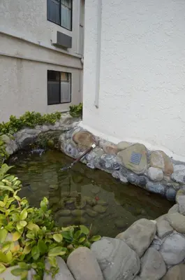 a pool of water in front of a building at Jolly Roger Hotel in Los Angeles