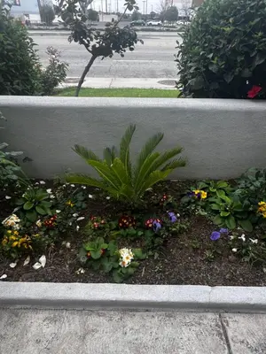 a garden with flowers in a concrete wall at El Segundo Inn in Hawthorne