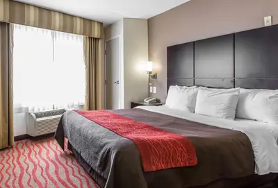 a hotel room with a large bed and a window at Comfort Inn Los Angeles near Hollywood in Los Angeles