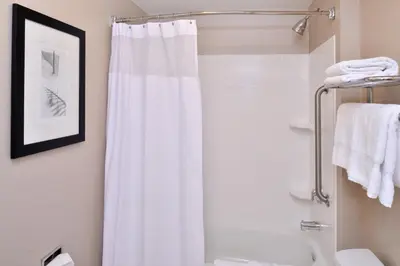 a bathroom with a shower curtain and a toilet at SpringHill Suites by Marriott Corona Riverside in Corona
