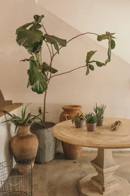 a room with a table and potted plants at CALAMIGOS RANCH Resort & Spa in Malibu