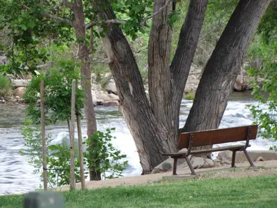 a park bench sitting next to trees next to a river at Kern Riverfront Lodge in Kernville
